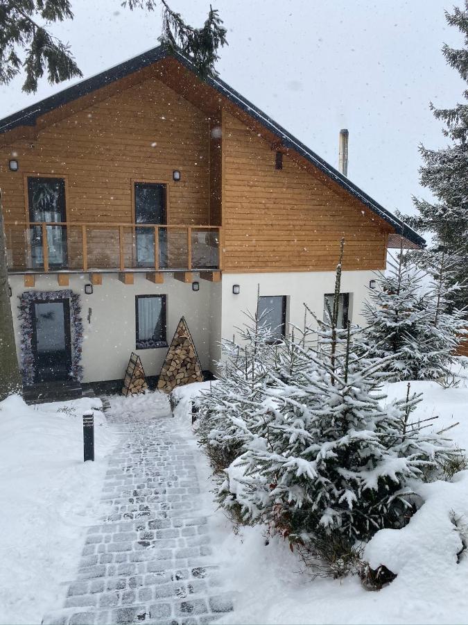 Gogodz Chalet Resort Yablunytsia Dış mekan fotoğraf