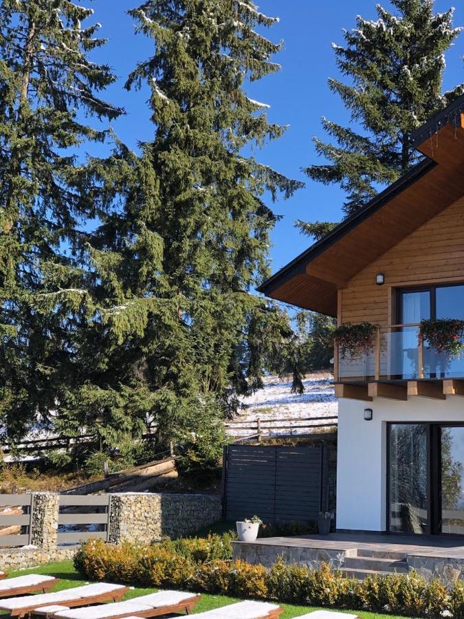 Gogodz Chalet Resort Yablunytsia Dış mekan fotoğraf