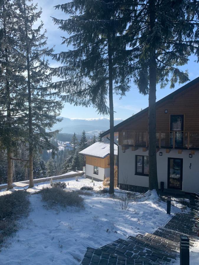 Gogodz Chalet Resort Yablunytsia Dış mekan fotoğraf